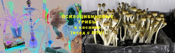 гидропоника Абдулино