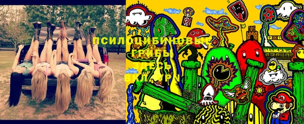 гидропоника Абдулино