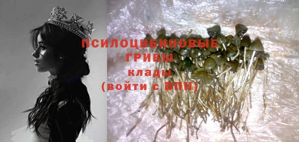 тгк Абинск