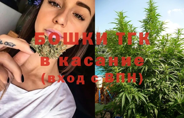 тгк Абинск