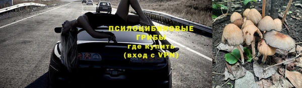 тгк Абинск