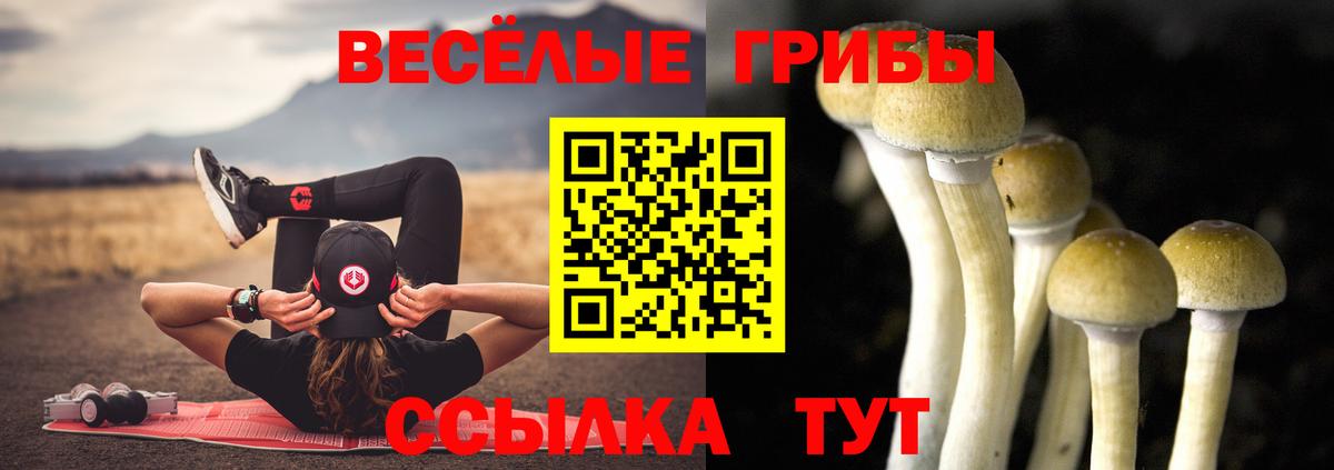 Галлюциногенные грибы ЛСД  Галлюциногенные грибы прущие грибы  Вход с VPN  Ивантеевка 